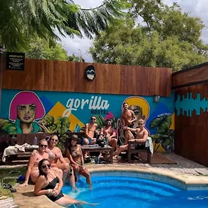 Gorilla Hostel